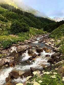 Rize