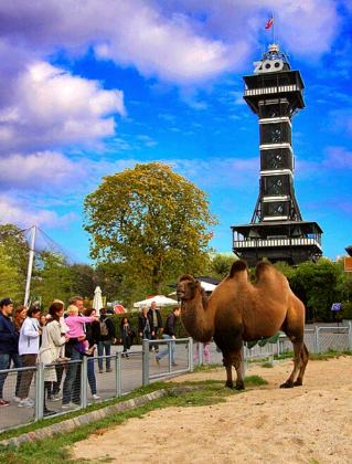 Copenhagen Zoo
