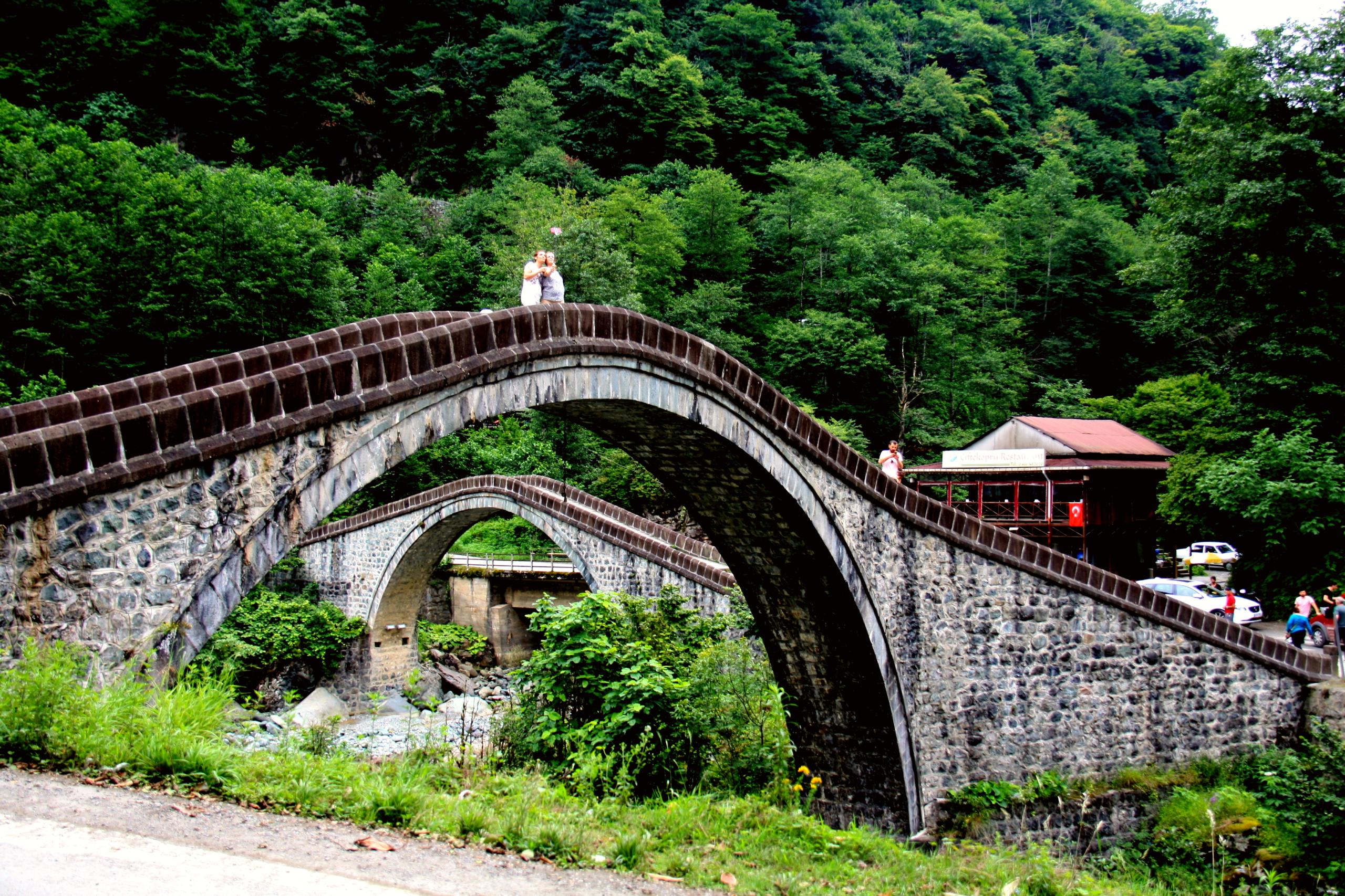Entdecke die üppigen Landschaften von Artvin