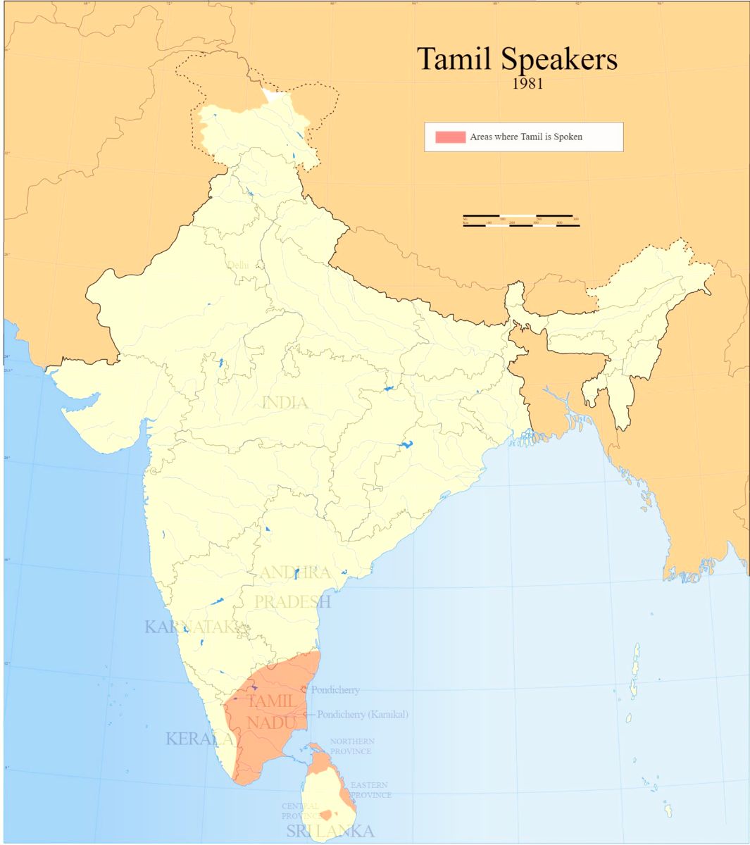 Lokales Essen und Trinken - Chennai