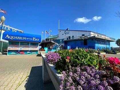 Aquarium of the Bay