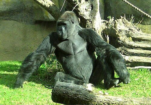 Santa Barbara Zoo
