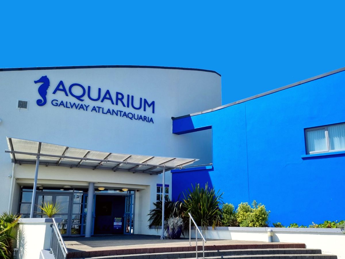 Galway Atlantaquaria