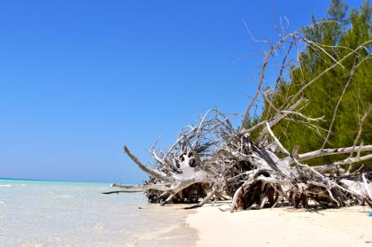 Lucayan National Park