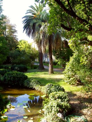 Botanical Gardens
