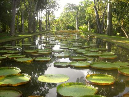 Pamplemousses Botanical Garden