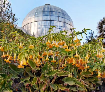 Jerusalem Botanical Gardens
