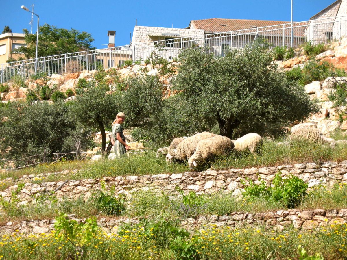 Nazareth Village