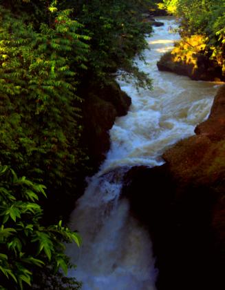 Davis Falls