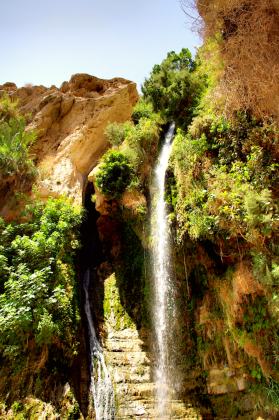 Ein Gedi Nature Reserve