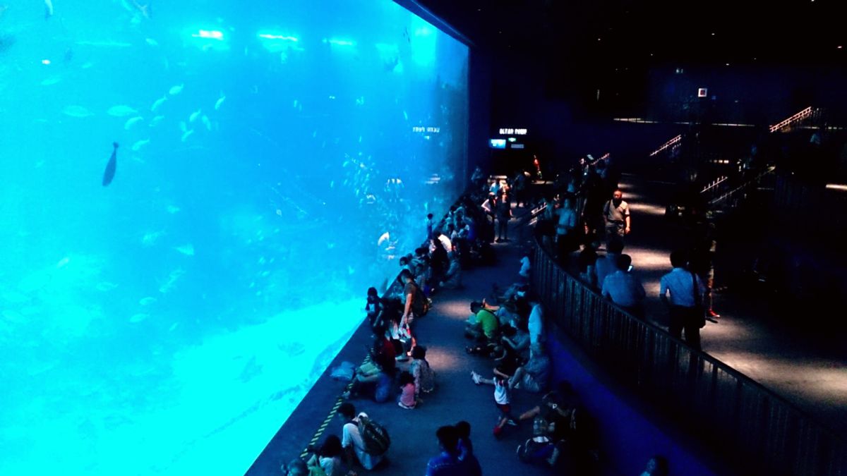 S.E.A. Aquarium