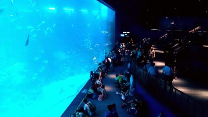 S.E.A. Aquarium