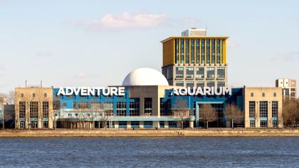 Adventure Aquarium