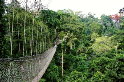 Kakum National Park