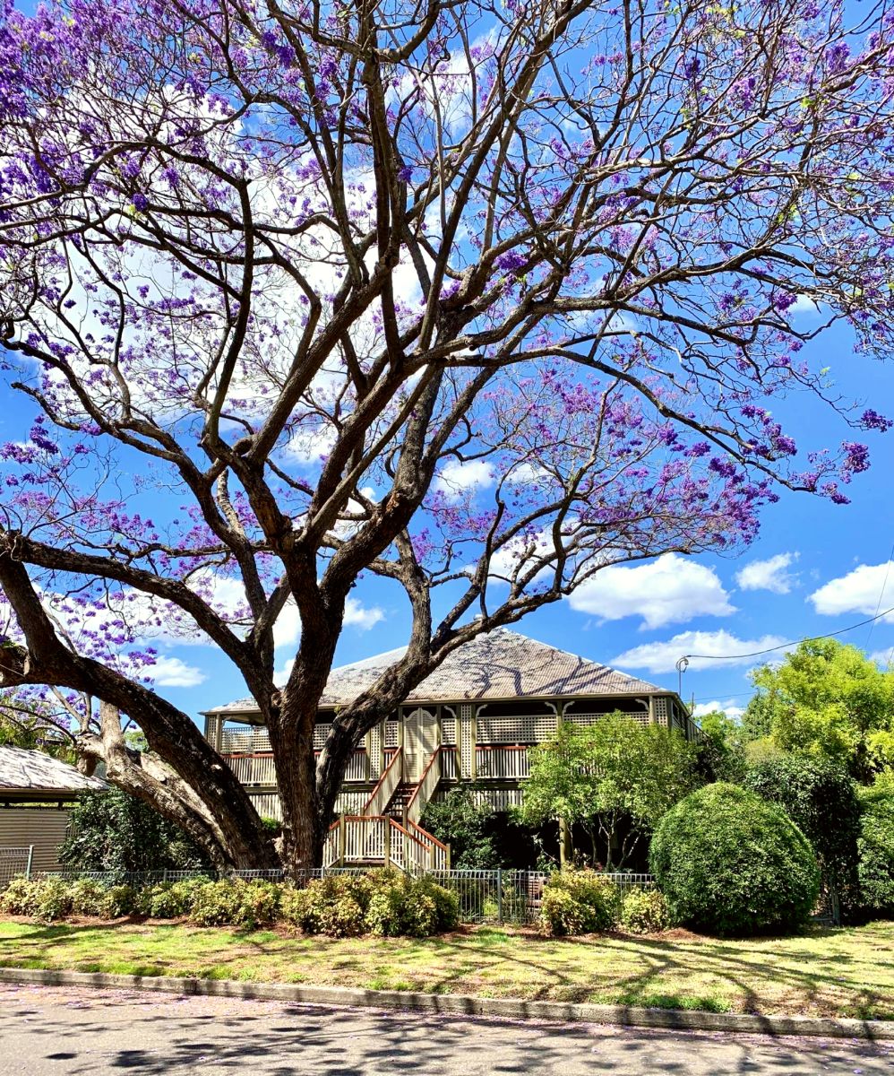 Lokale Traditionen - Brisbane