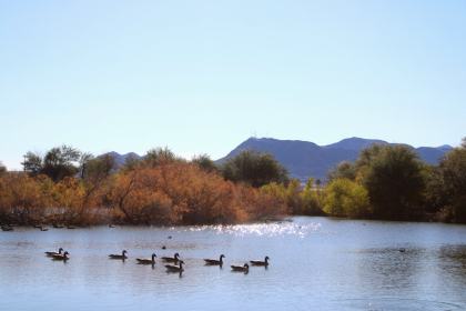 Henderson Bird Viewing Preserve