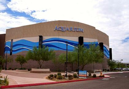 OdySea Aquarium