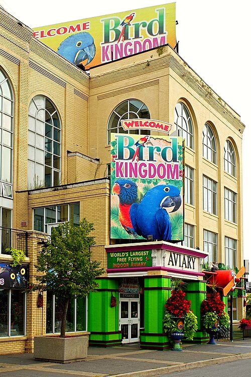 Bird Kingdom