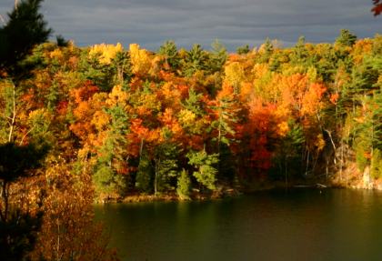 Gatineau Park