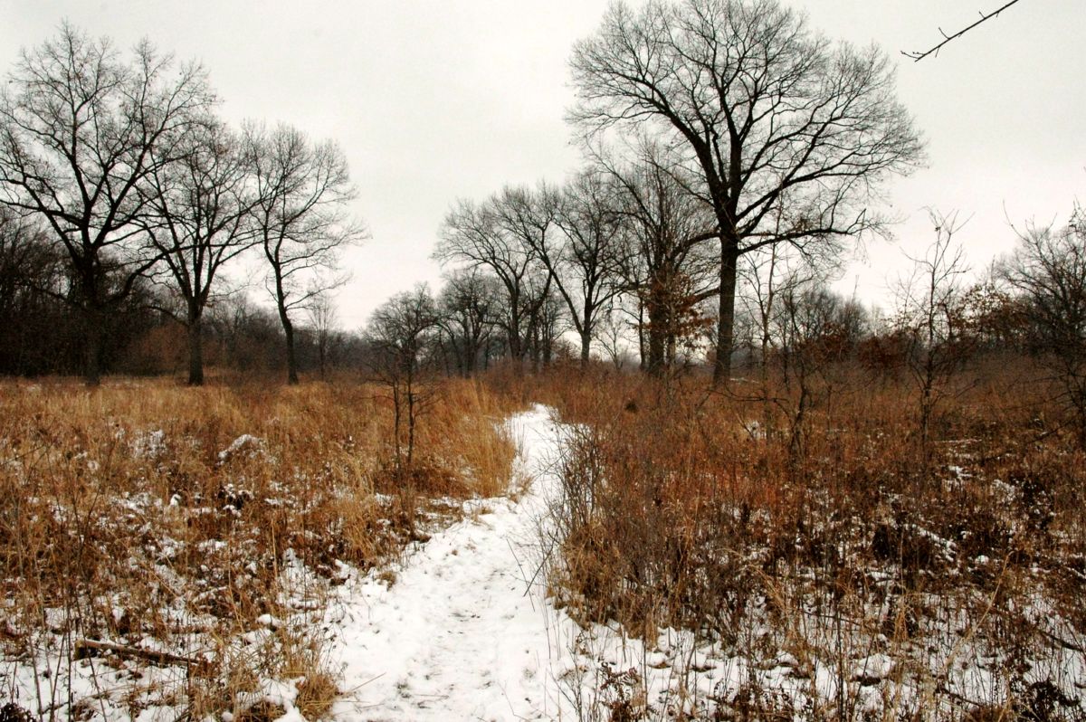 Ojibway Nature Centre