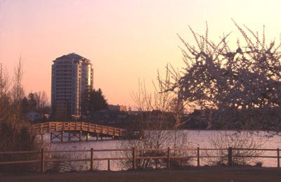 Mill Lake Park