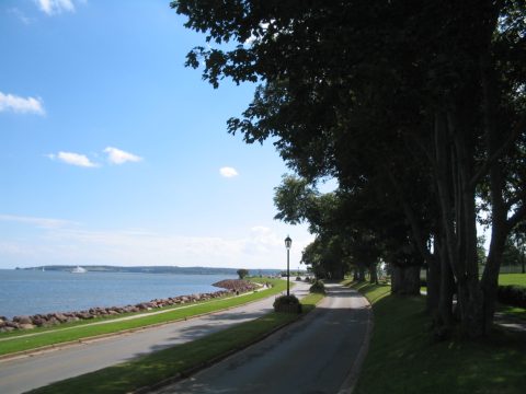 Victoria Park