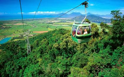 Skyrail Rainforest Cableway
