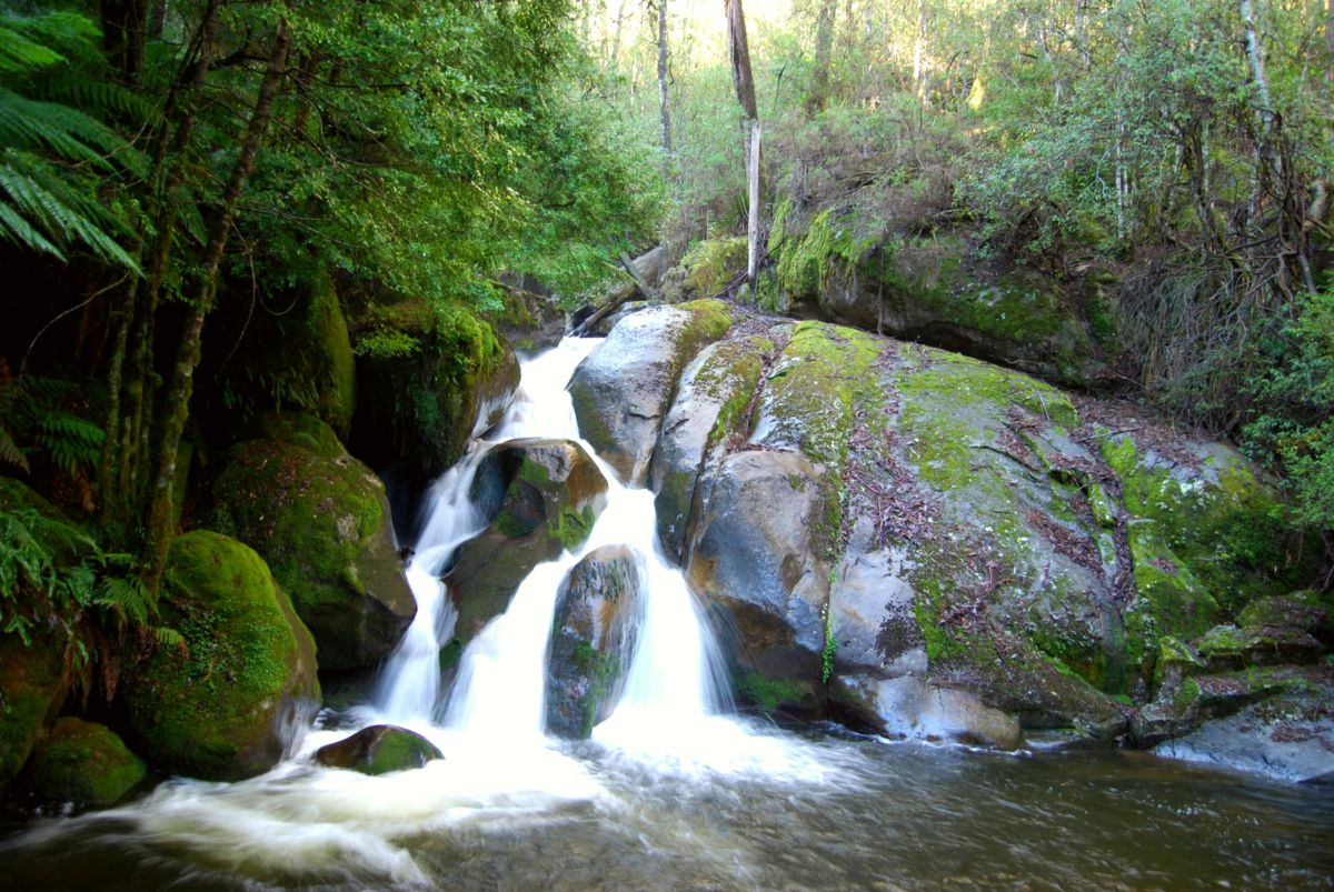 Yarra Ranges National Park