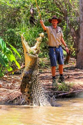 Billabong Sanctuary