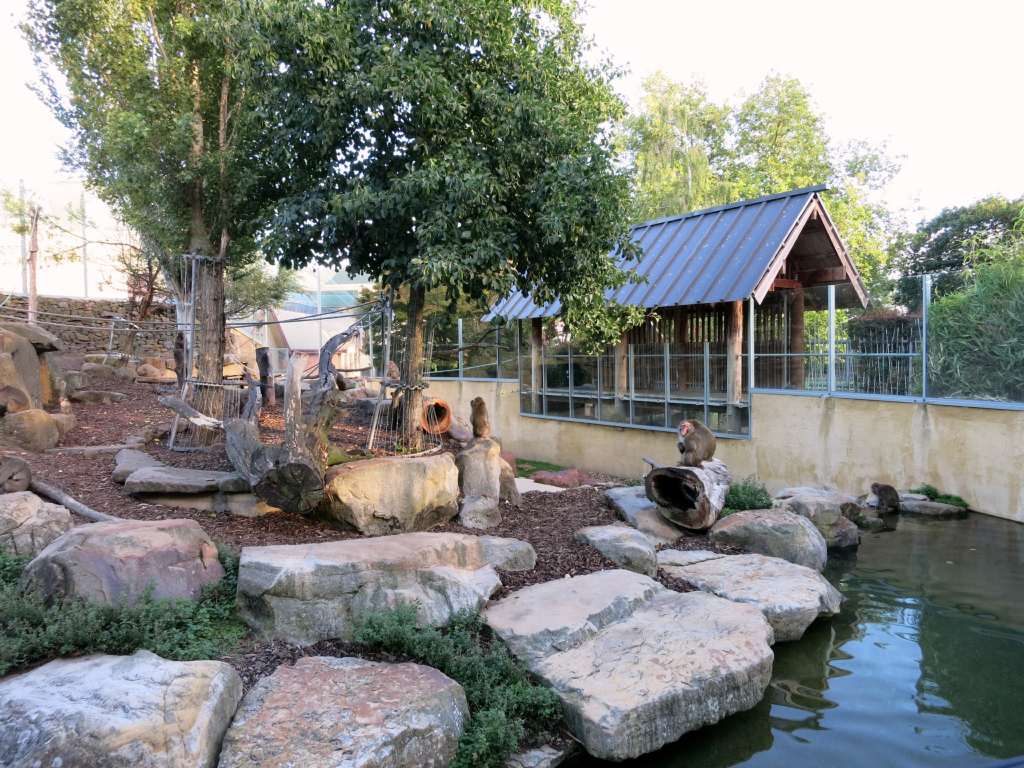 City Park