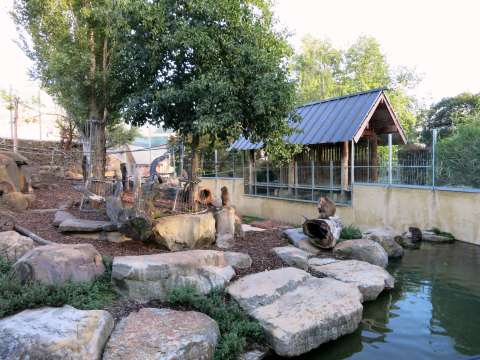 City Park