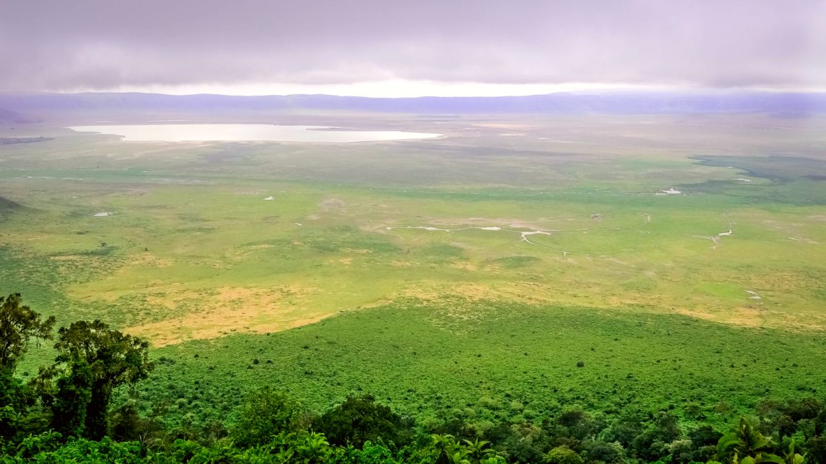 Ngorongoro