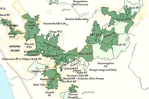 Wayanad Wildlife Sanctuary