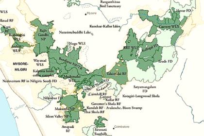 Wayanad Wildlife Sanctuary