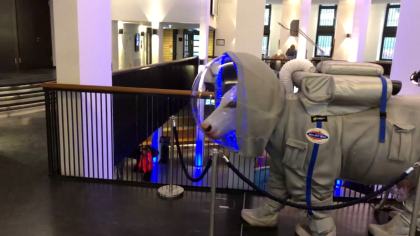 Planetarium Hamburg