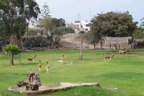 Parque de las Leyendas