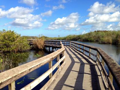 Anhinga Trail