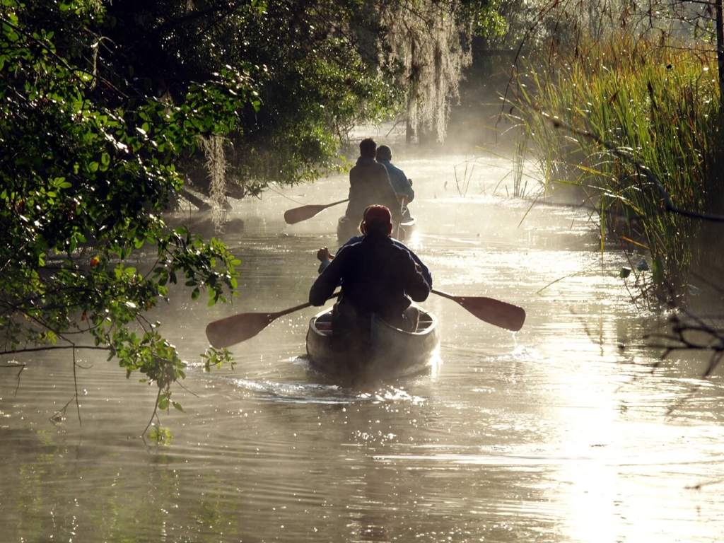 Big Cypress National Preserve