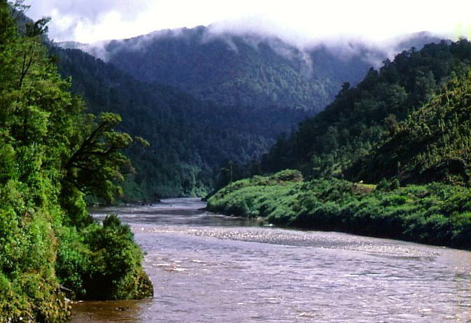 Buller River