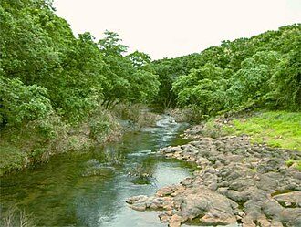Sanjay Gandhi National Park
