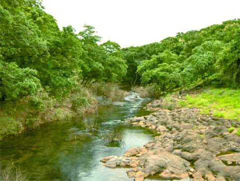 Sanjay Gandhi National Park