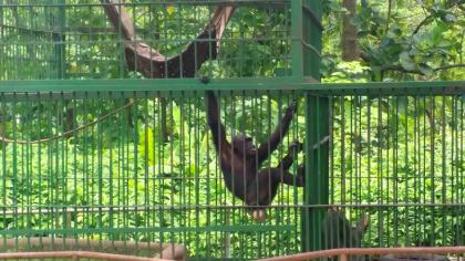 Kumasi Zoo