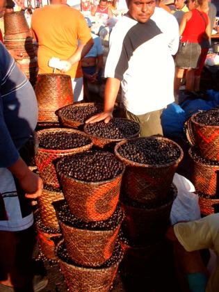 Feira do Açaí