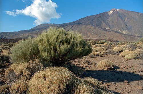 The Teide National Park, on the island of Tenerife is the most visited national park in Spain.[17][18]
