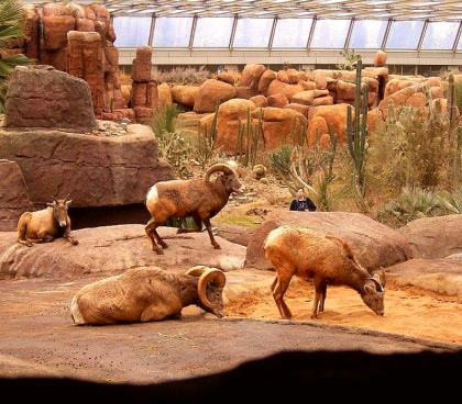 Burgers' Zoo