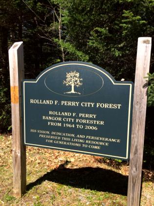 Bangor City Forest