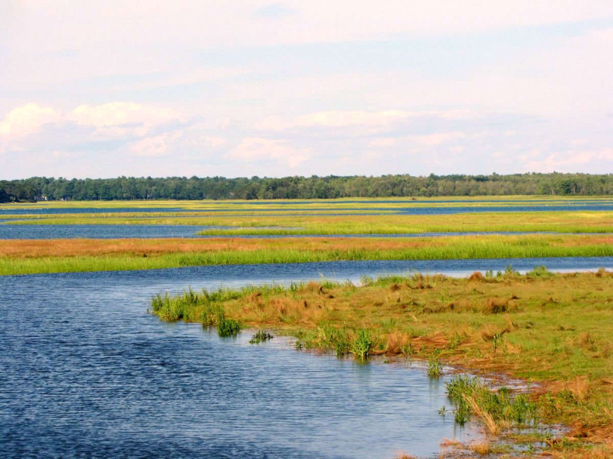 Scarborough Marsh