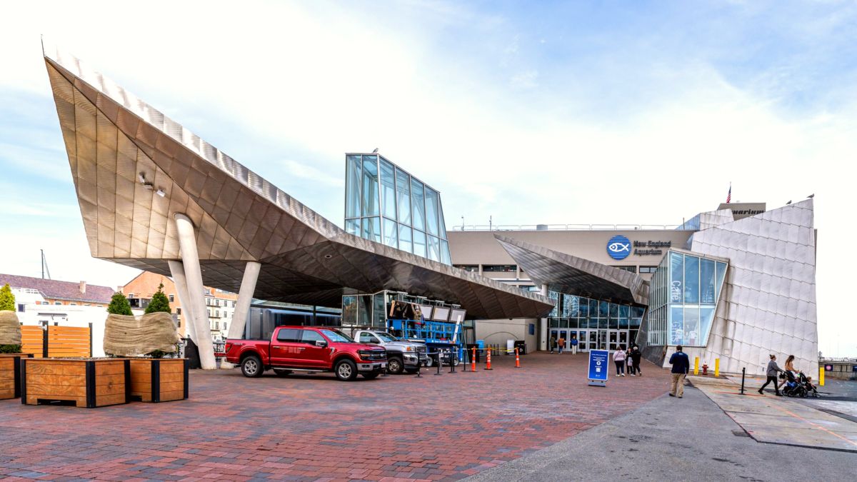 New England Aquarium