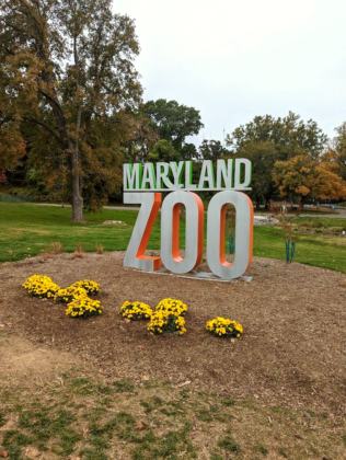 The Maryland Zoo
