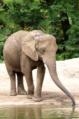Roger Williams Park Zoo
